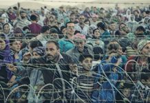 Letters of Dreams and Refuge – Part IV