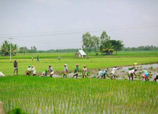 Climate Change Will Worsen Living Standards in India