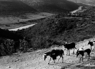 Revisiting Nelson Mandela’s Roots: A Photographic Exploration
