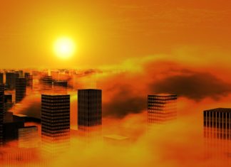 Cities Must Lead the Action on Climate Change