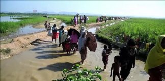 No, India Does Not Have 11 Crore Rohingyas or 8 Crore Bangladeshi Refugees