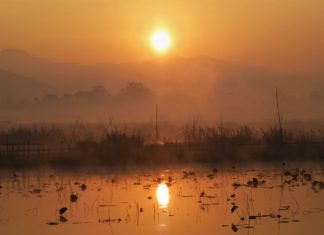 Under the Umbrella: Drugs and Myanmar Politics