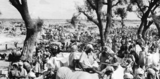 Festering Wounds and Little Closures