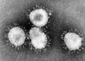 Against Quarantine