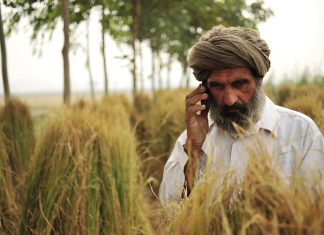 COVID-19 in India: Agrarian and Informal Sectors Under Severe Stress