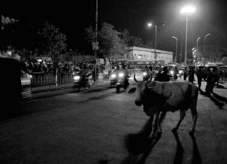 How My Long Beard Almost Got Me Lynched by a Mob in the Middle of a City