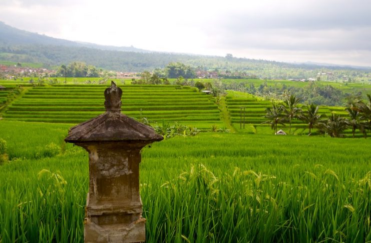 How Indian Academia Is Colonising Indonesia