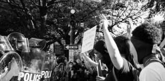 Democracy: A Scientific Perspective