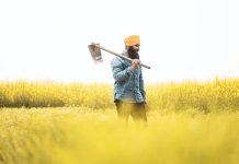 Beyond the Headlines on Panjab: Why Not All Is Lost